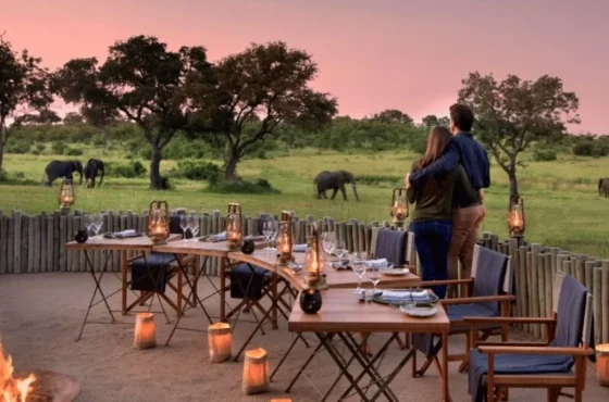 Kenya Honeymoon Safari Tour Package