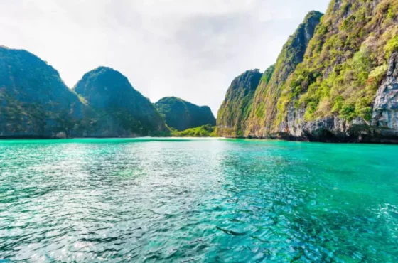 Phi Phi Island tour from Krabi by Speedboat