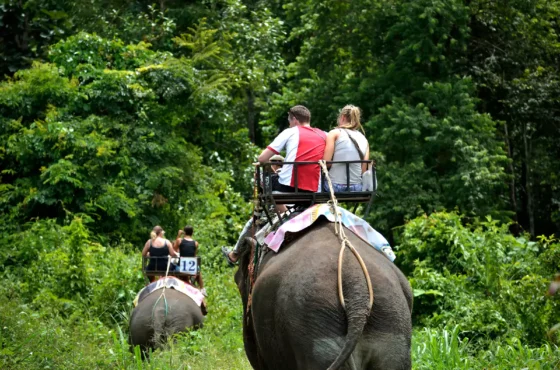 Best of Thailand: Phuket, Krabi, Pattaya, Bangkok