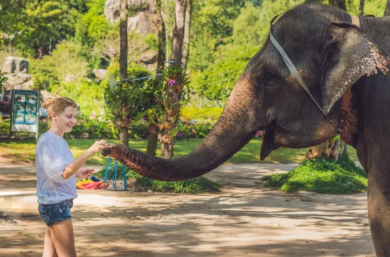 Elephant Jungle Sanctuary Phuket