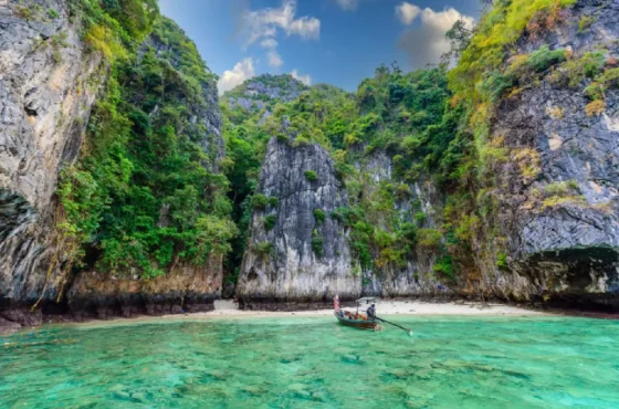 Plankton Swimming Krabi by Long Tail Boat