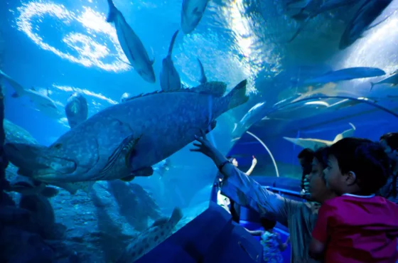 Budget-Friendly Bangkok Pattaya Trip