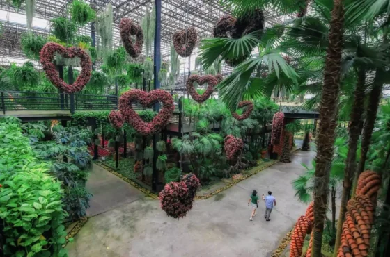 Experience the Best of Thailand: Bangkok & Pattaya