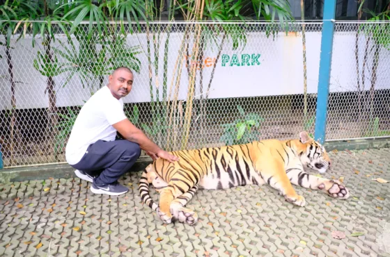 Discover Bangkok & Pattaya