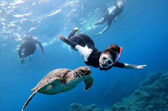 Red Sea Diving & Snorkeling Adventure in Jeddah, Saudi Arabia