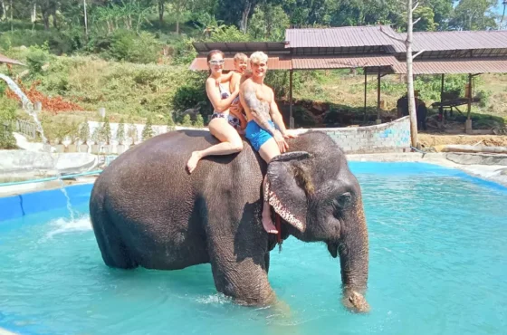 Elephant Trekking Phuket