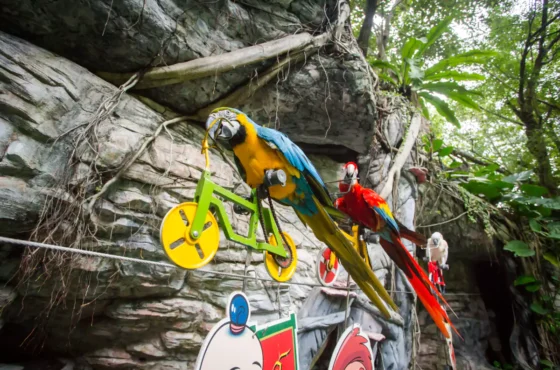 Safari World And Marine Park Bangkok