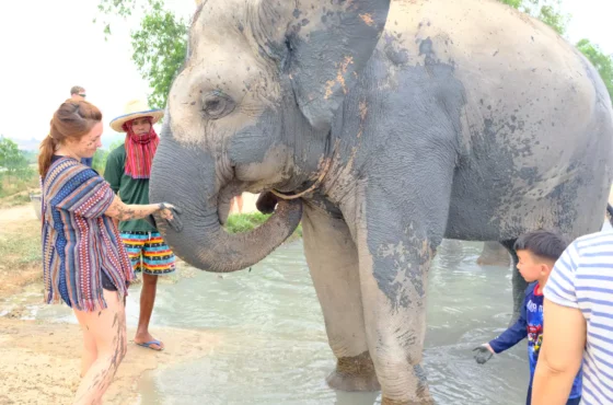 Elephant Jungle Sanctuary Pattaya