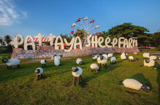 Pattaya Sheep Farm