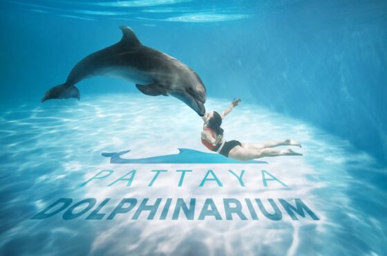 Pattaya Dolphinarium